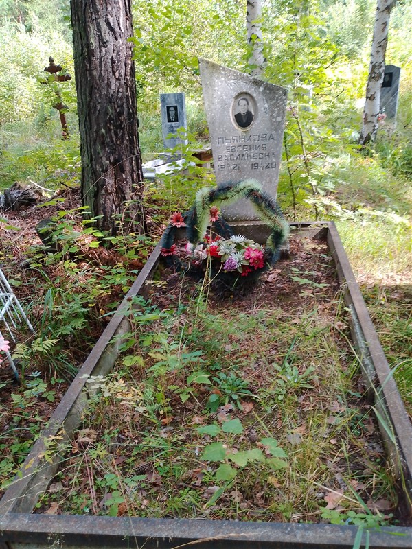 Пьянкова Евгения Васильевна