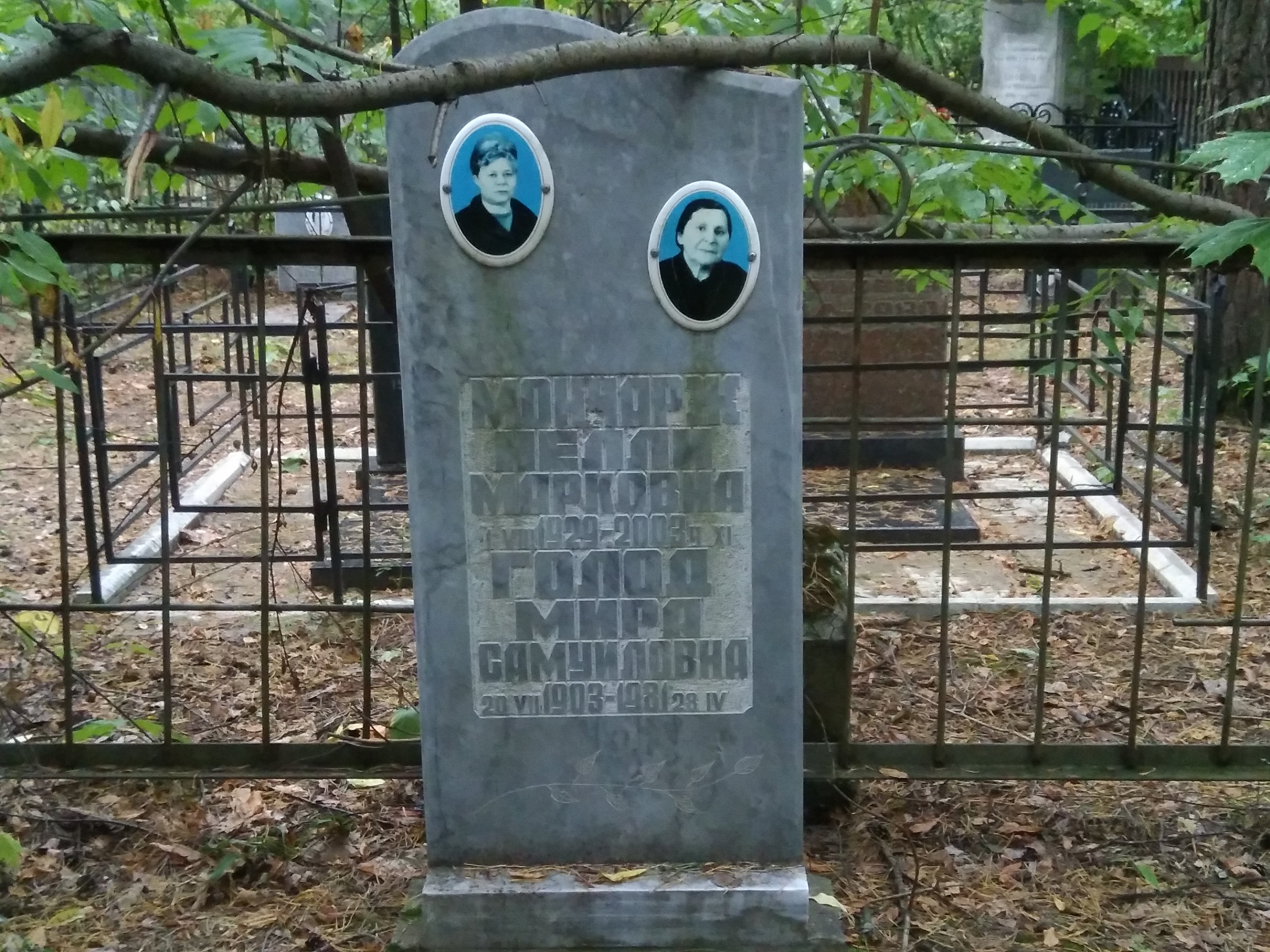 Голод Мира Самуиловна