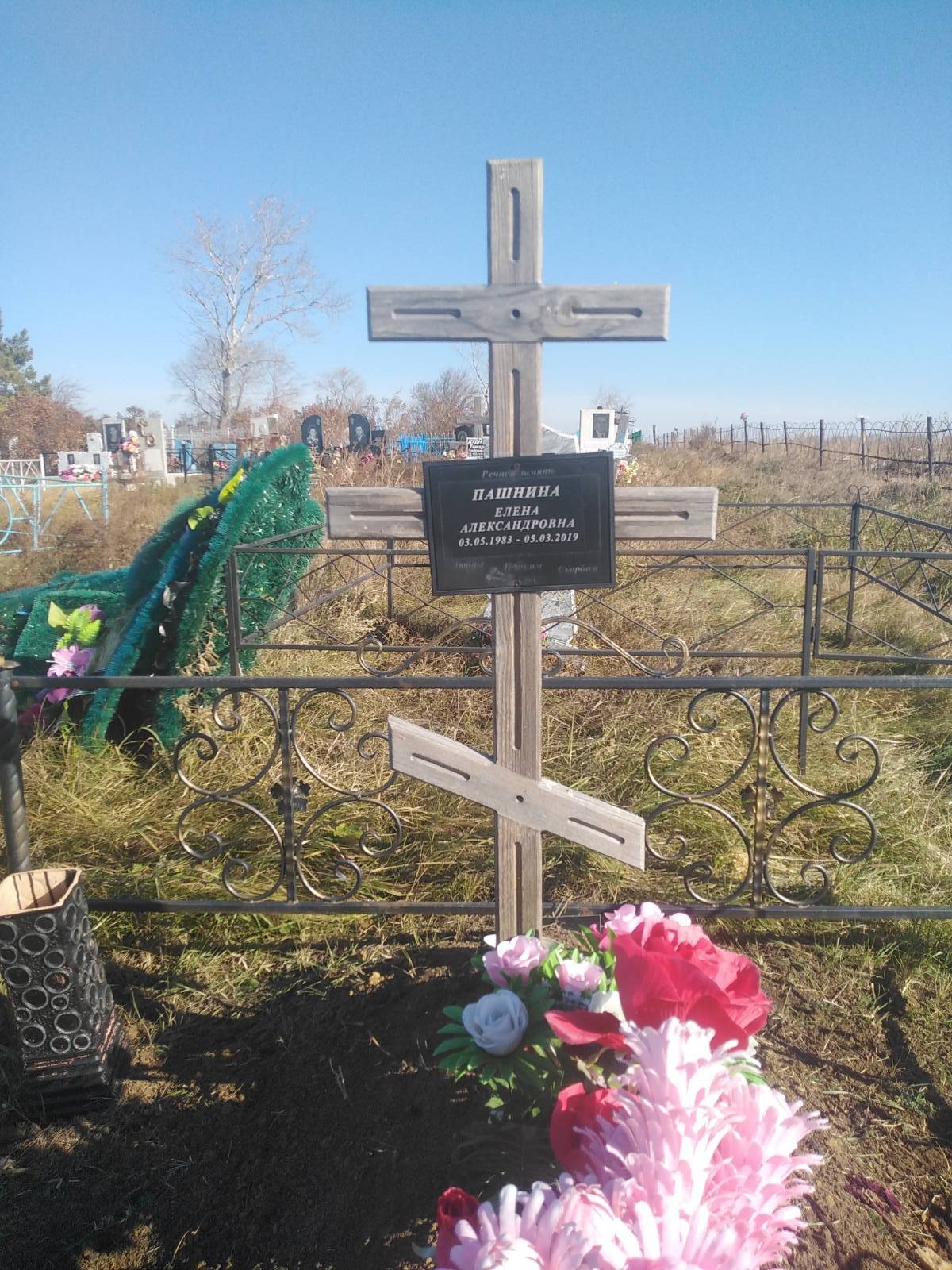 Пашнина Елена Александровна