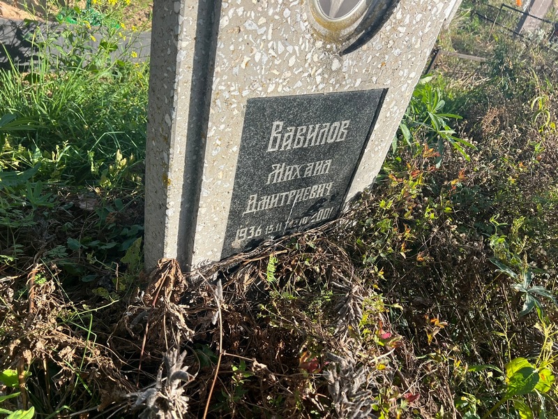 Вавилов