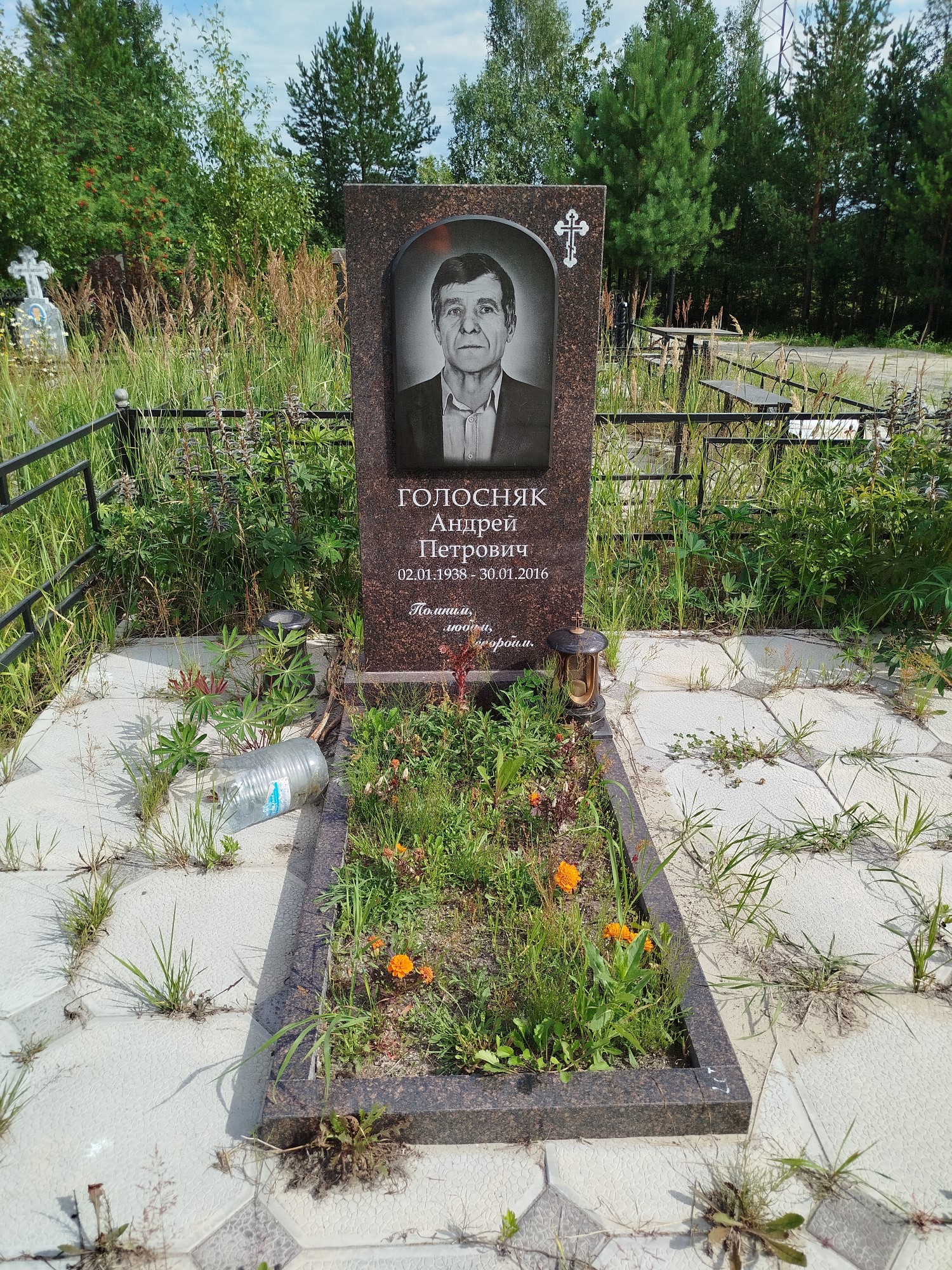 Голосняк Андрей Петрович