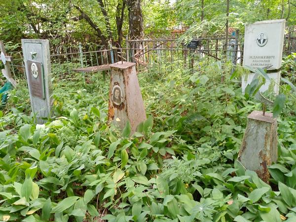 Жданкевич Анатолий Анатольевич