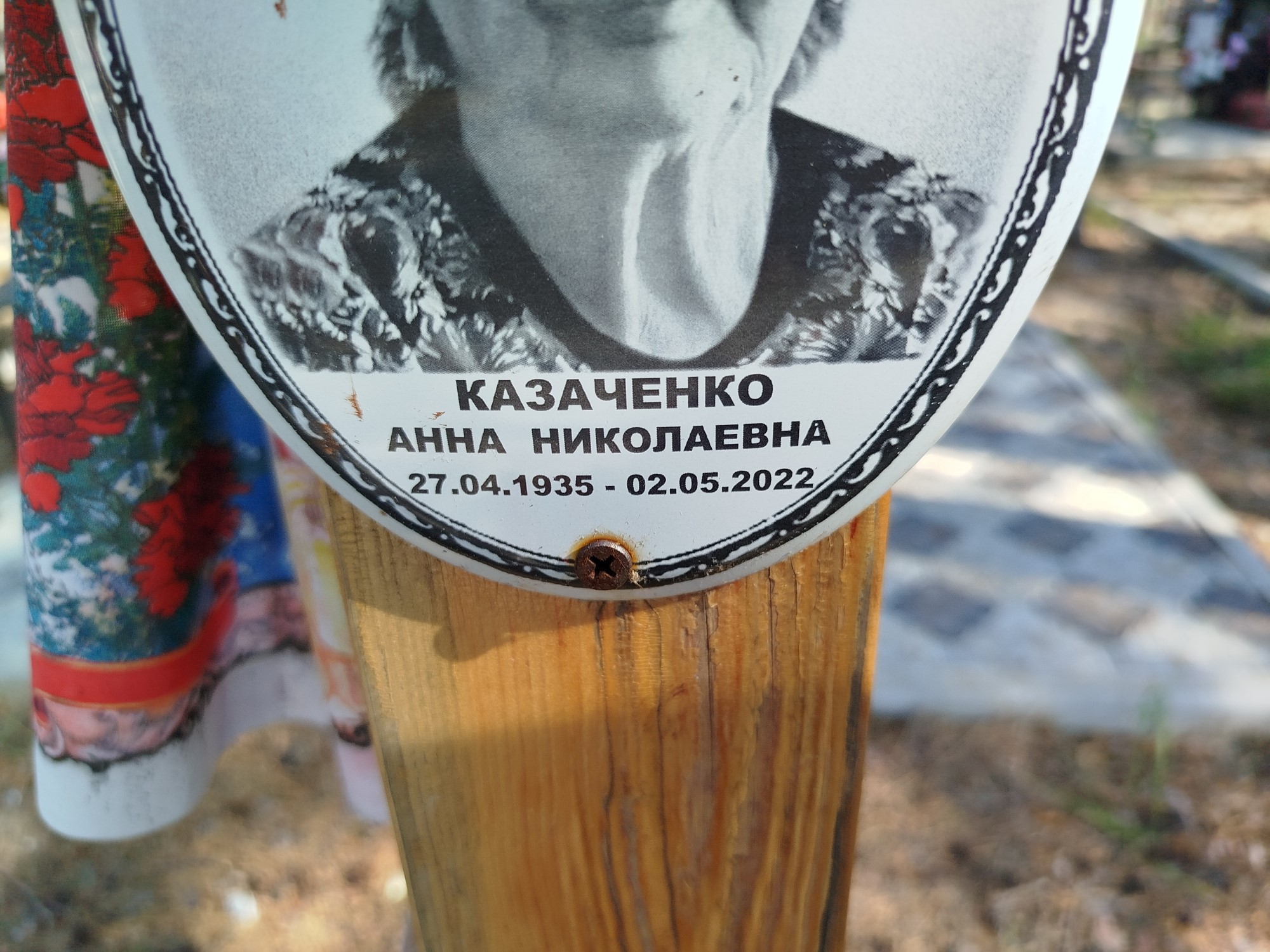 Казаченко Анна Николаевна
