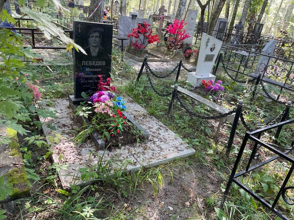Лебедев Михаил Леонидович