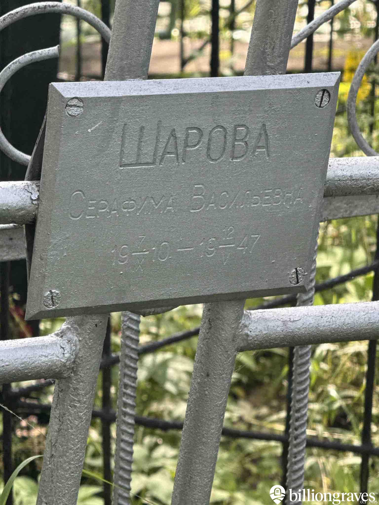 Шарова Серафима Васильевна