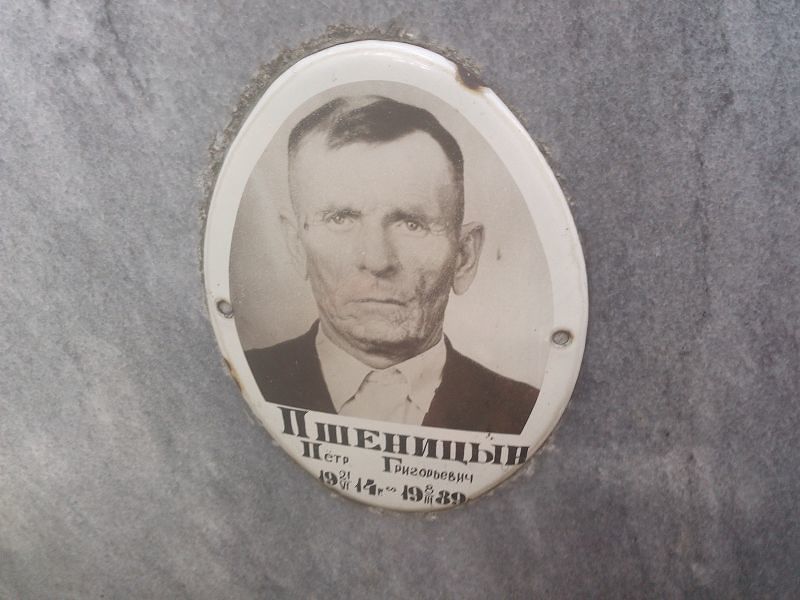 Пшеницын