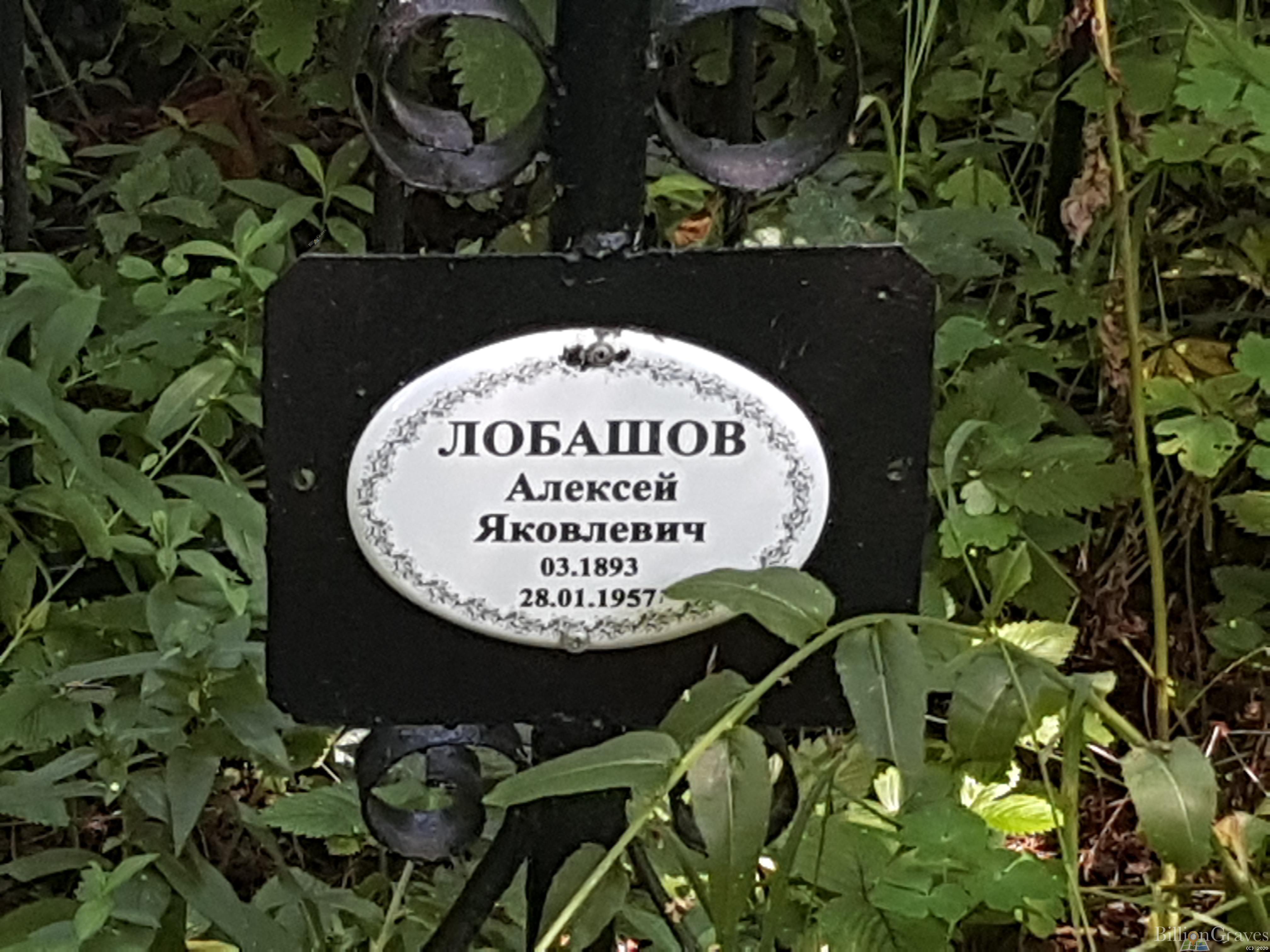 Лобашов Алексей Яковлевич