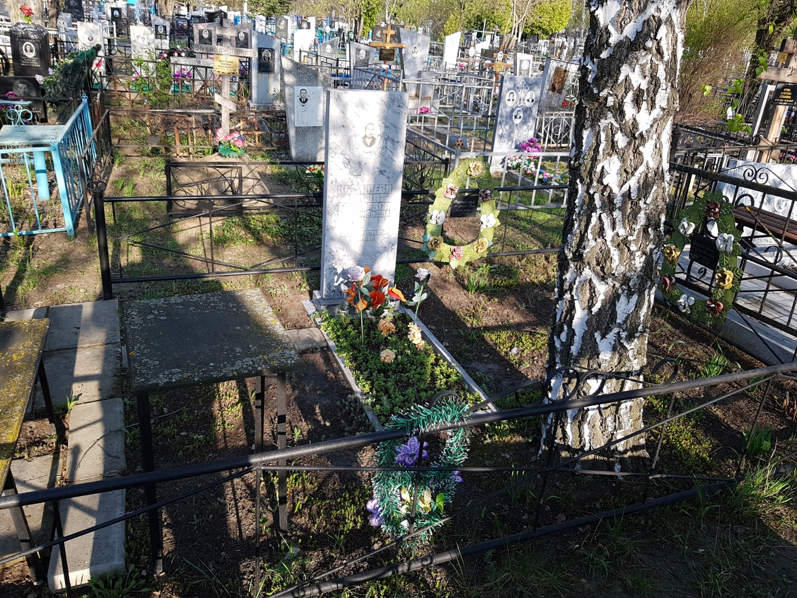 Конищев Анна Тихоновна