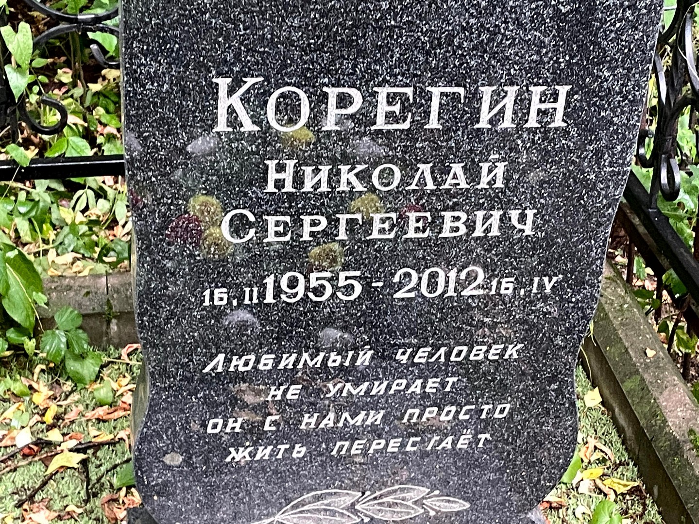 Корегин