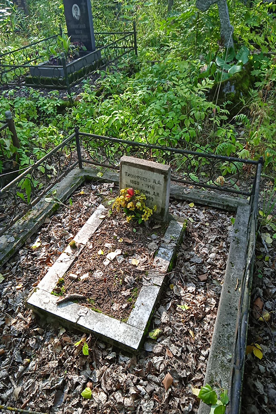 Щербакова А. И.
