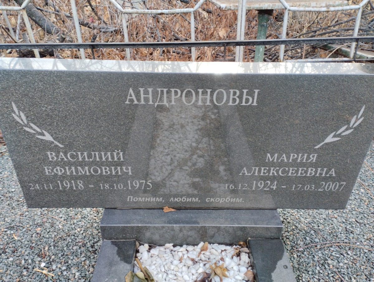 Андронова Мария Алексеевна