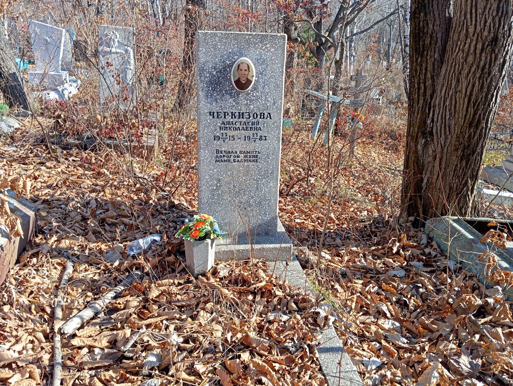 Черкизова Анастасия Николаевна