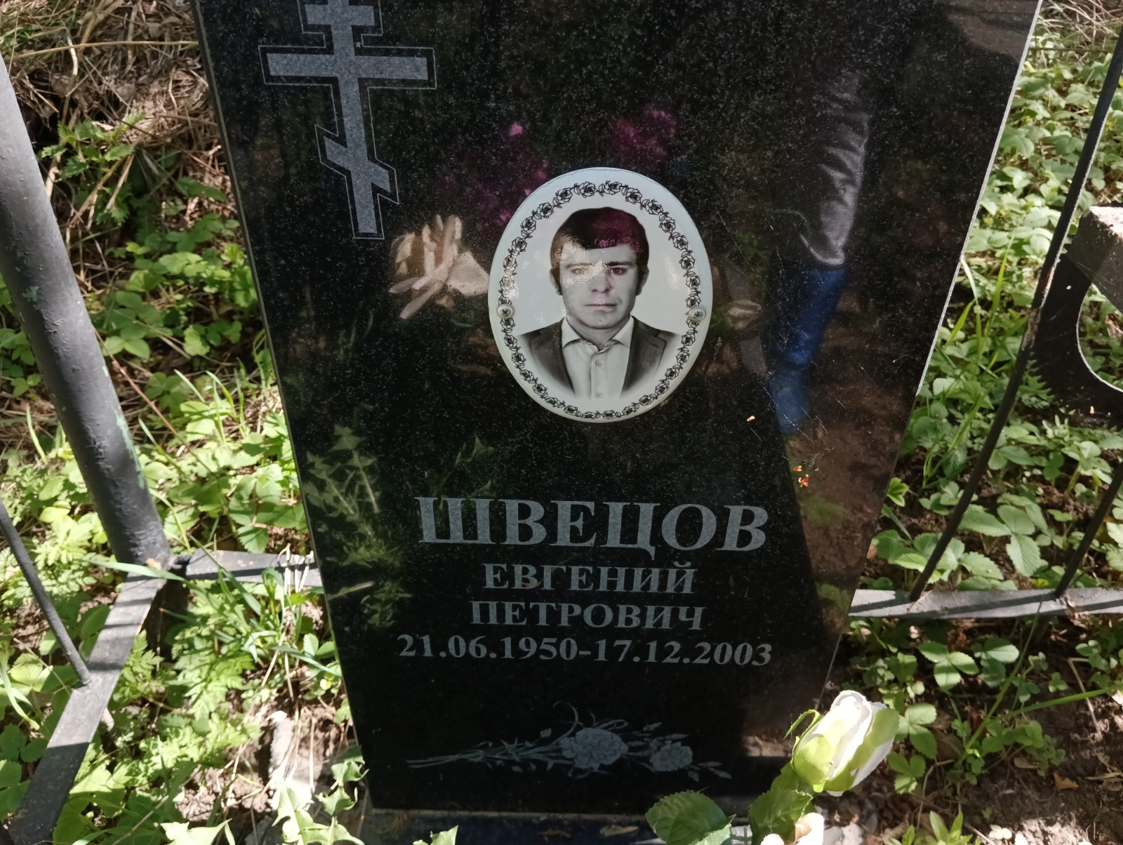 Швецов Евгений Петрович