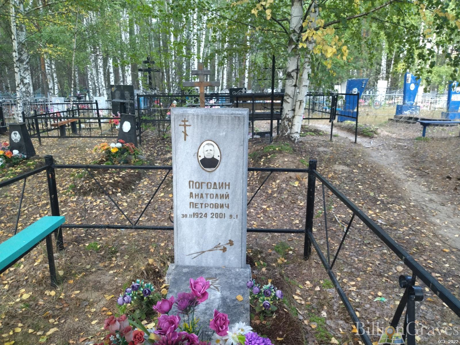 Погодин Анатолий Петрович