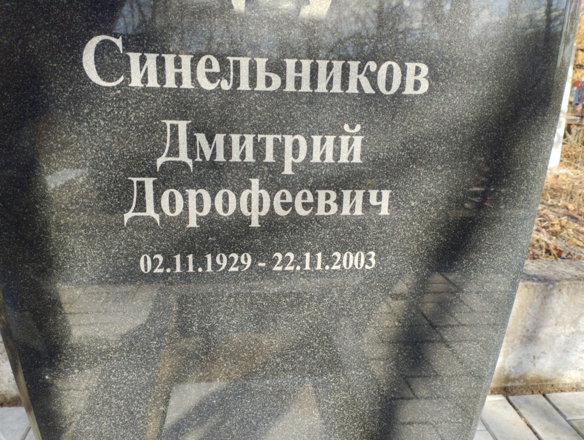 Синельников Дмитрий Дорофеевич