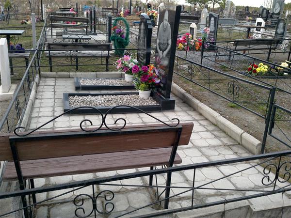 Левин Виктор Яковлевич