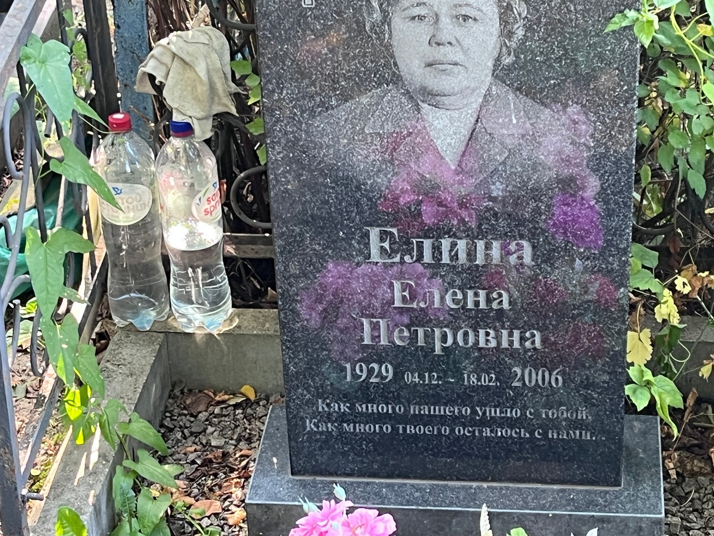 Елина
