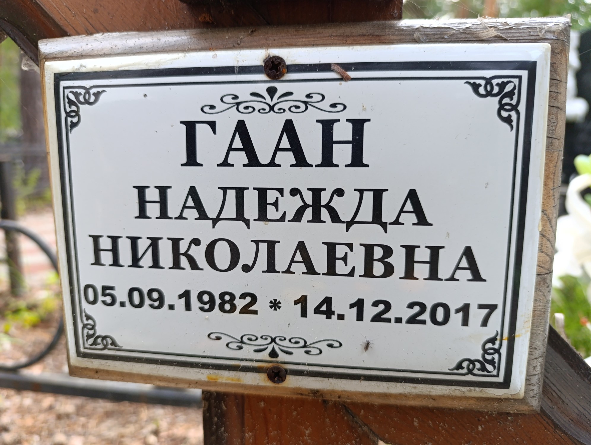 Гаан Надежда Николаевна