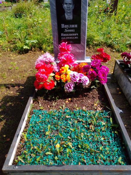 Ваулин Леонид Николаевич