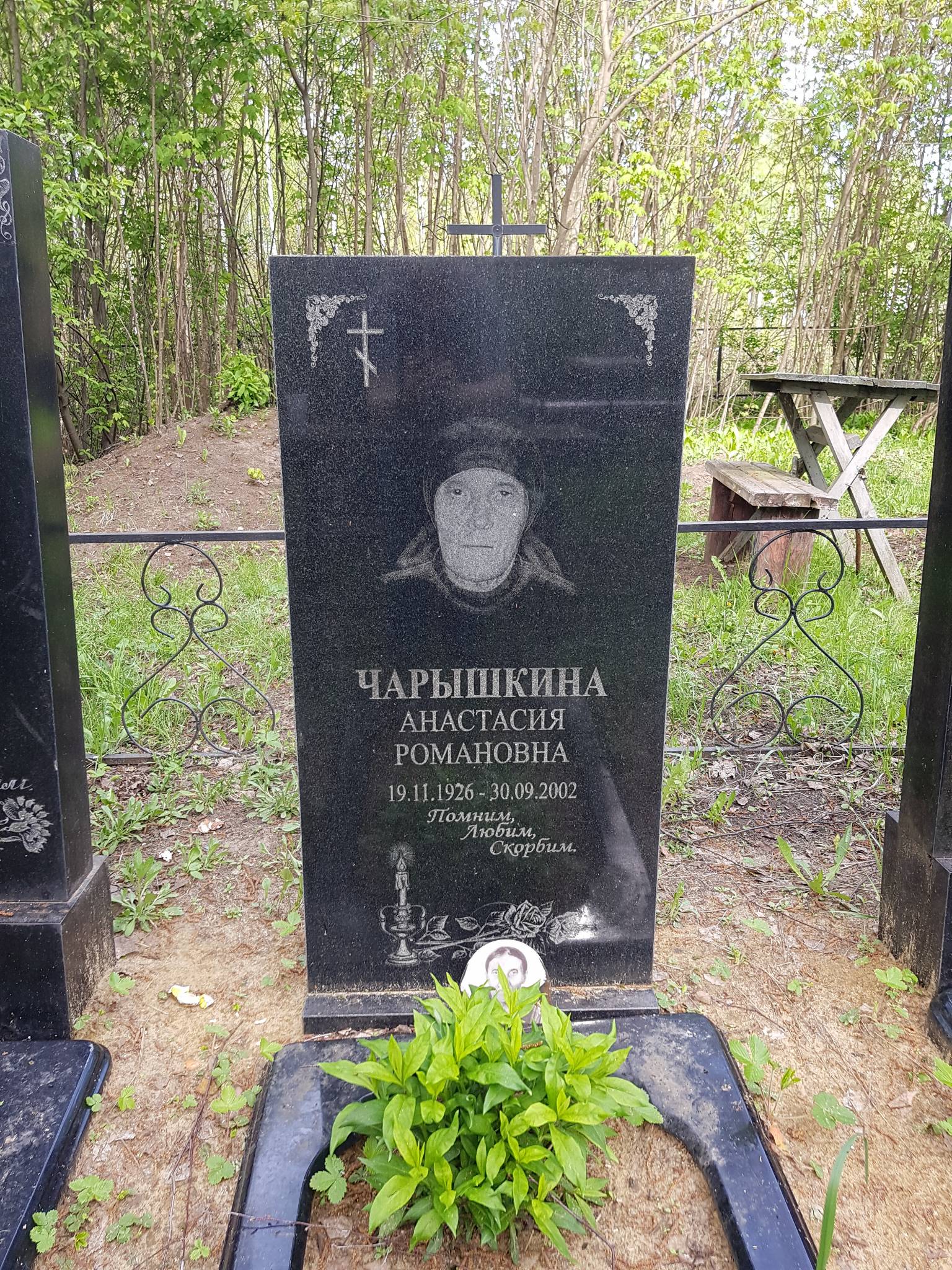 Чарышкина Анастасия Романовна