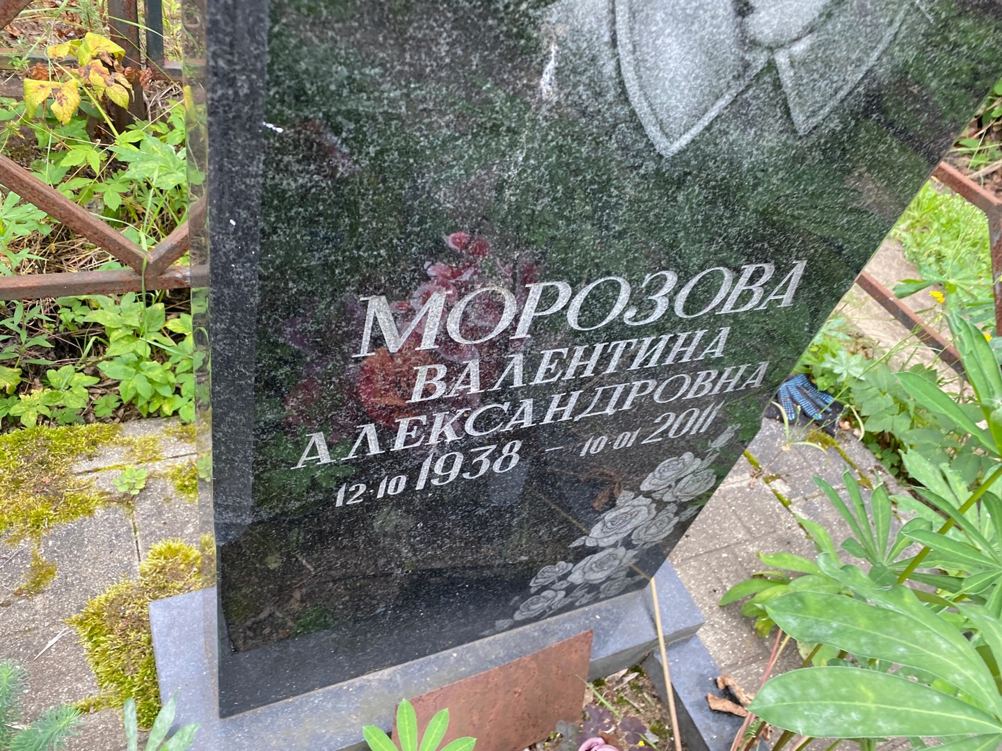 Морозова