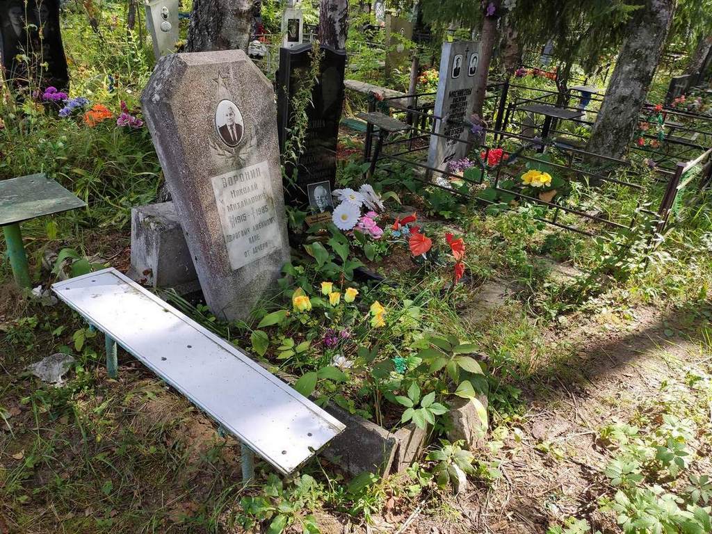 Воронин Николай Михайлович