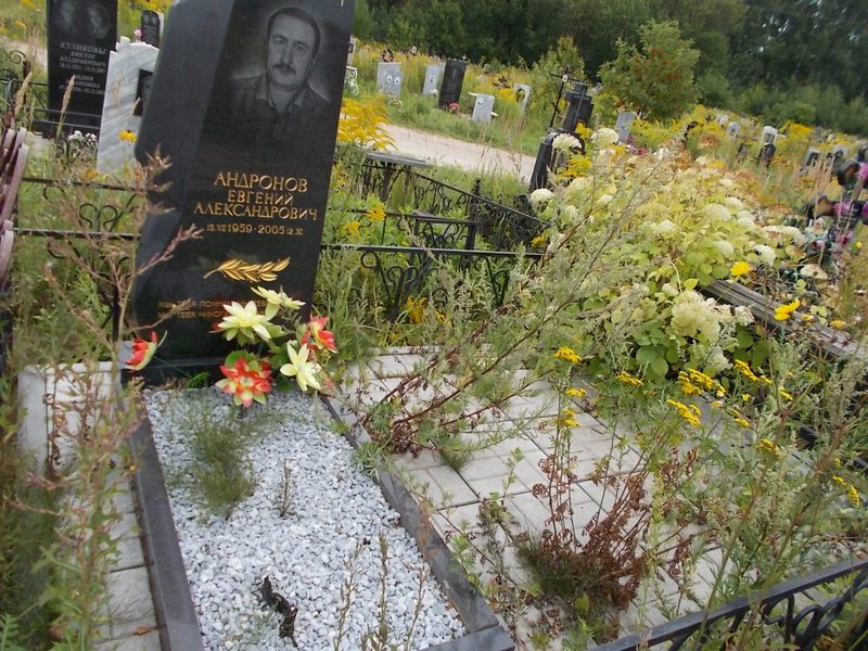 Андронов Евгений Александрович