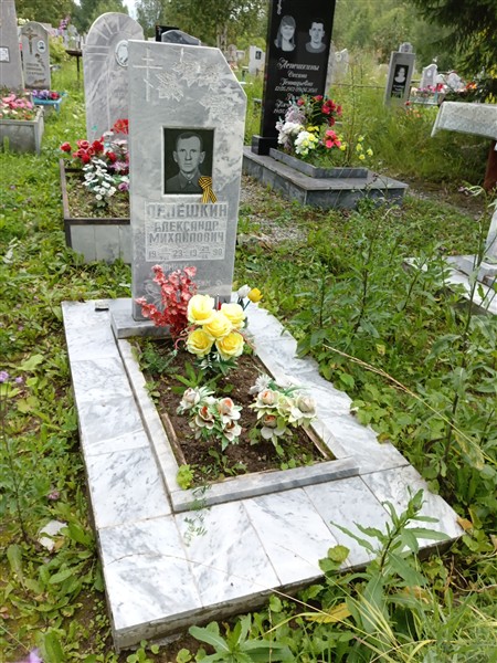 Лепешкин Александр Михайлович