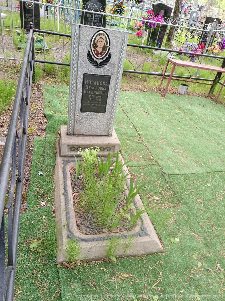 Ноганова Прасковья Васильевна