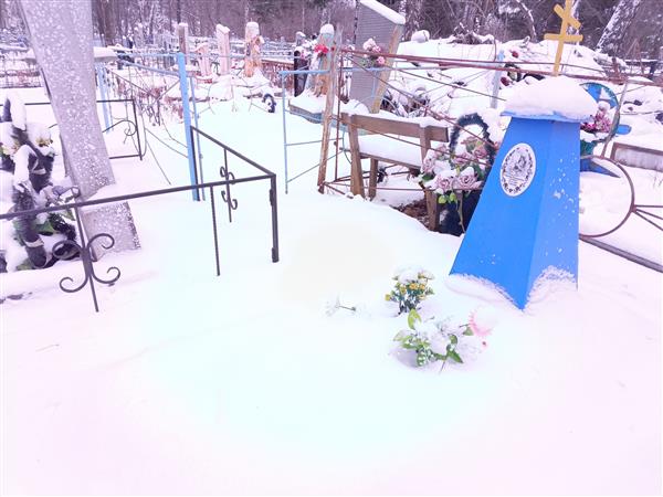 Лунина Надежда Илиодоровна