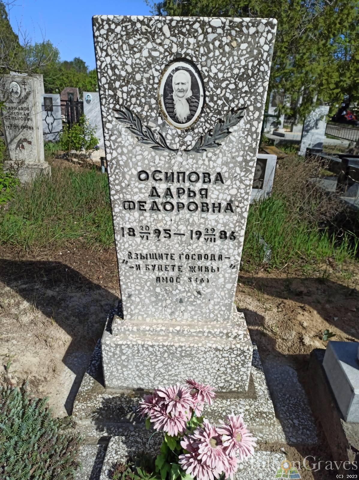 Осипова Дарья Федоровна