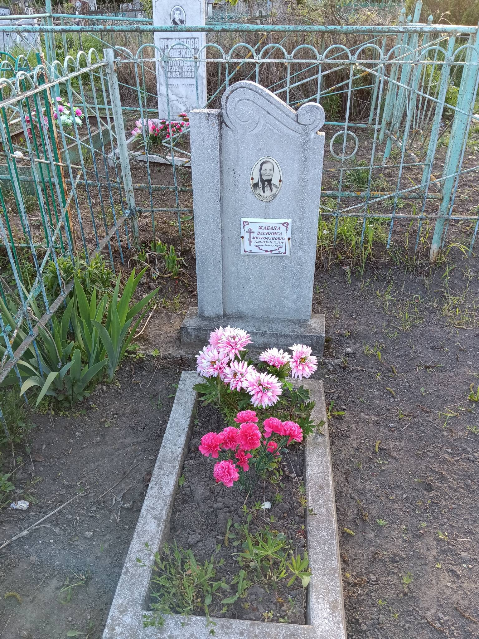 Жабала Василиса Митрофановна