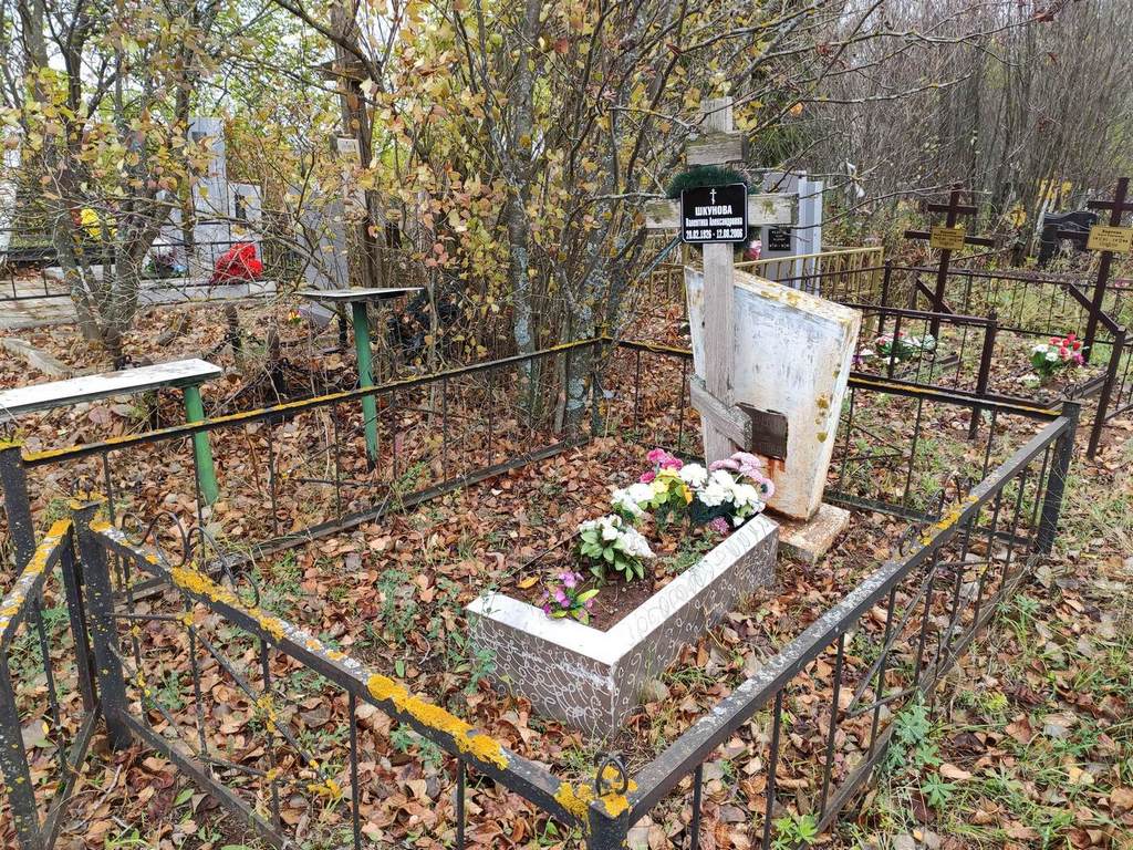 Шкунова Валентина Александровна
