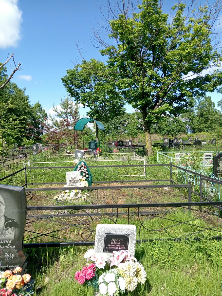Прока Елена Яковлевна