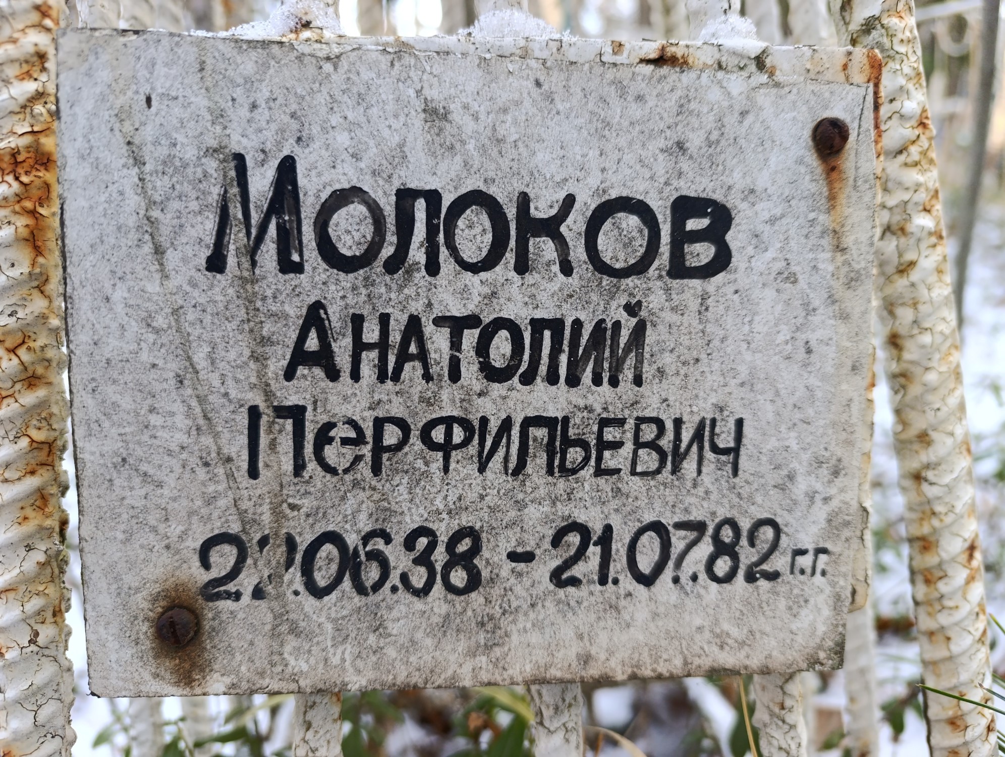 Молоков Анатолий Перфильевич