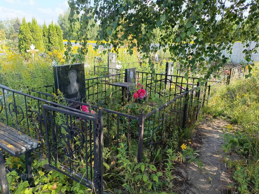 Строкин Николай Александрович