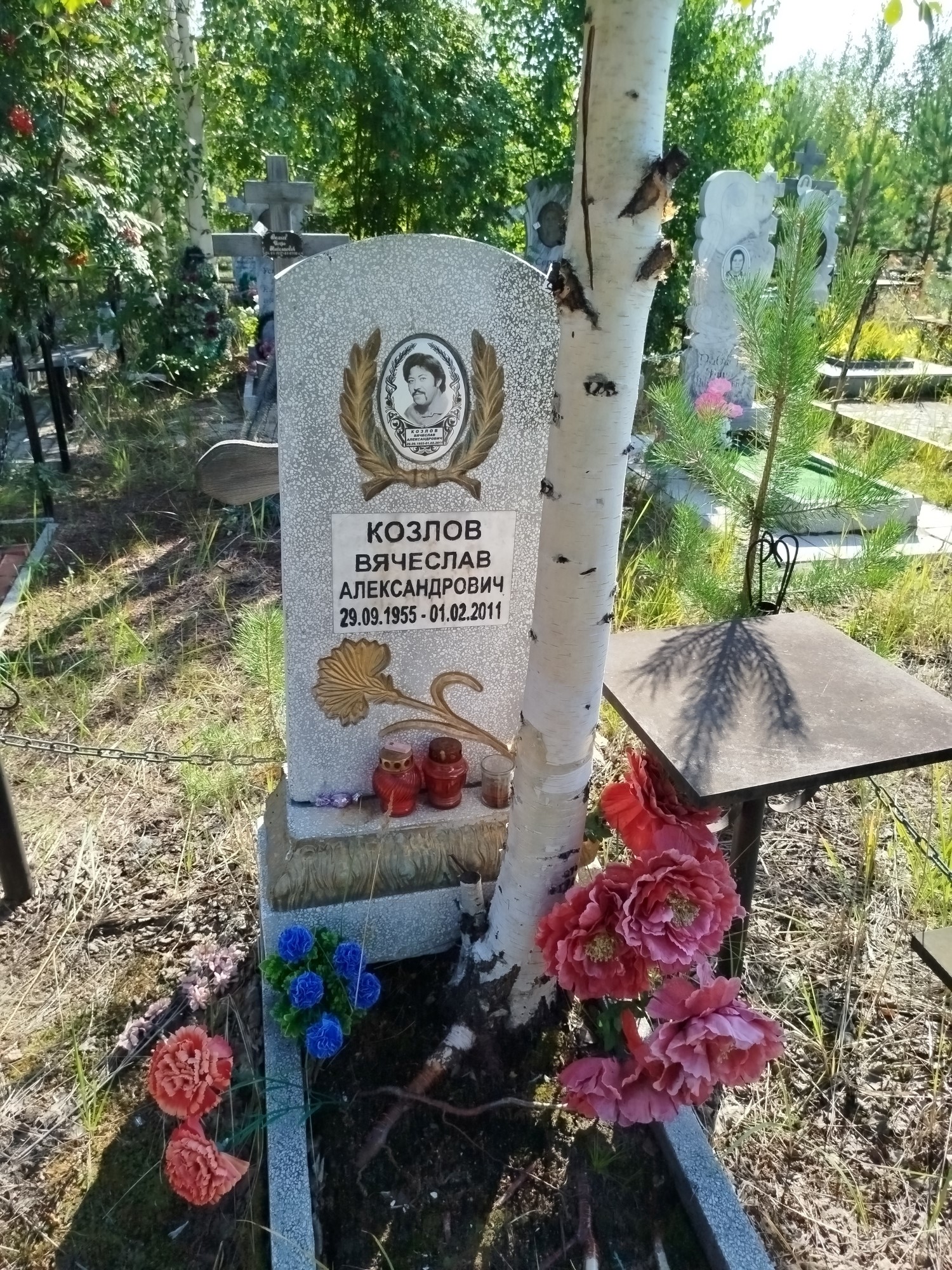 Козлов Вячеслав Александрович