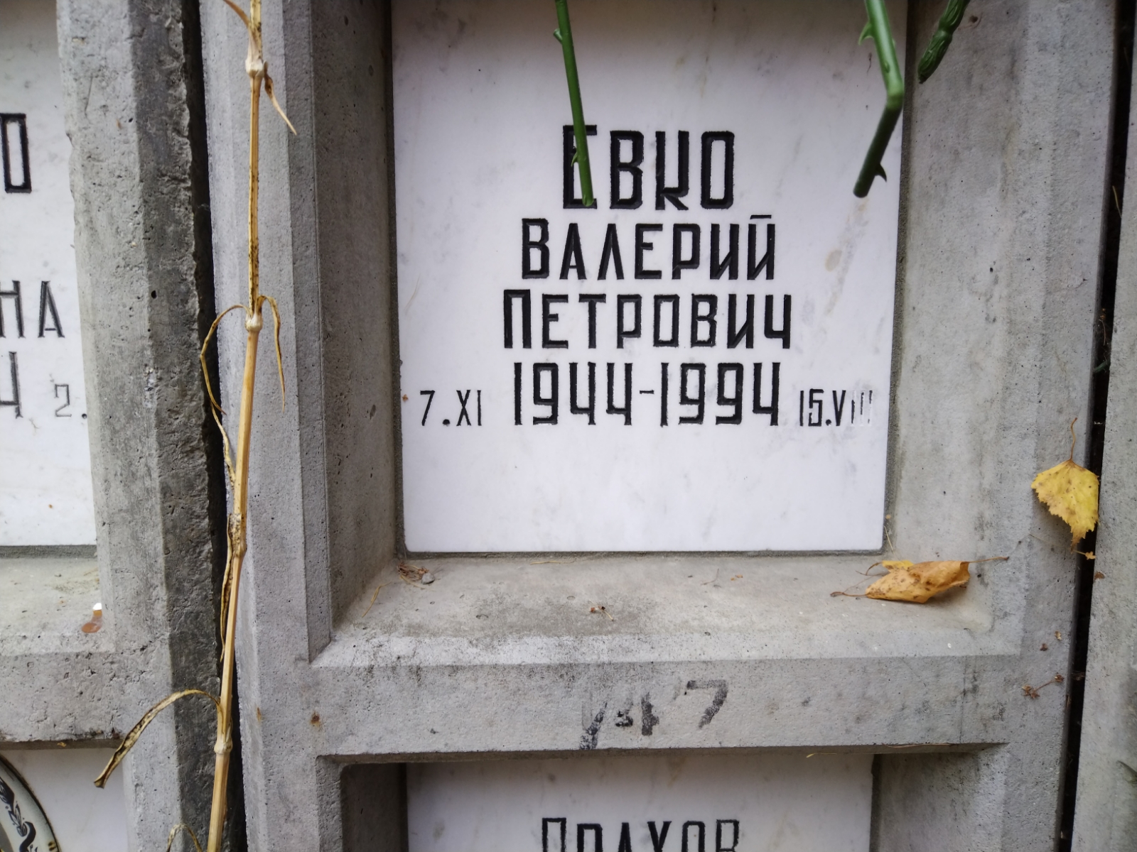 Евко Валерий Петрович