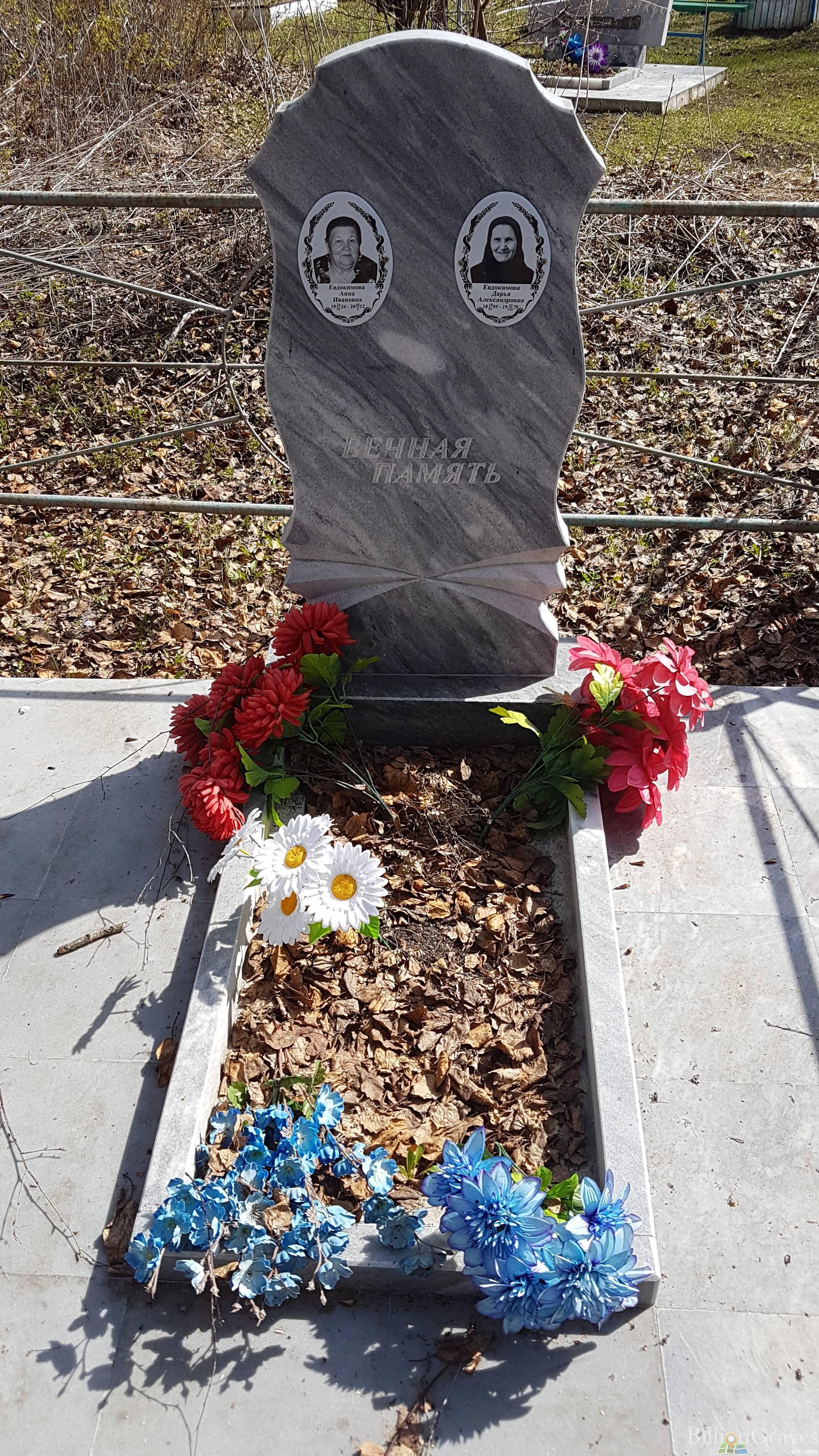 Евдокимова Дарья Александровна