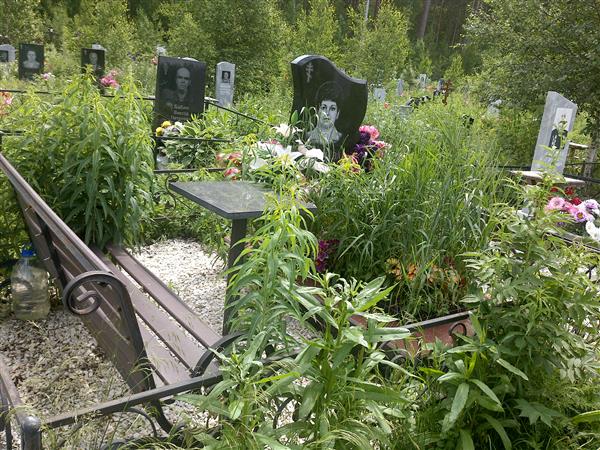 Киселева Анна Андреевна