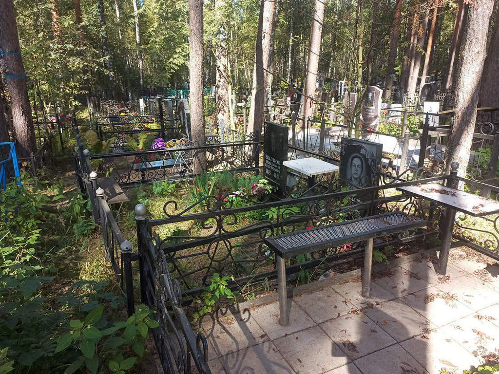 Волков Николай Петрович