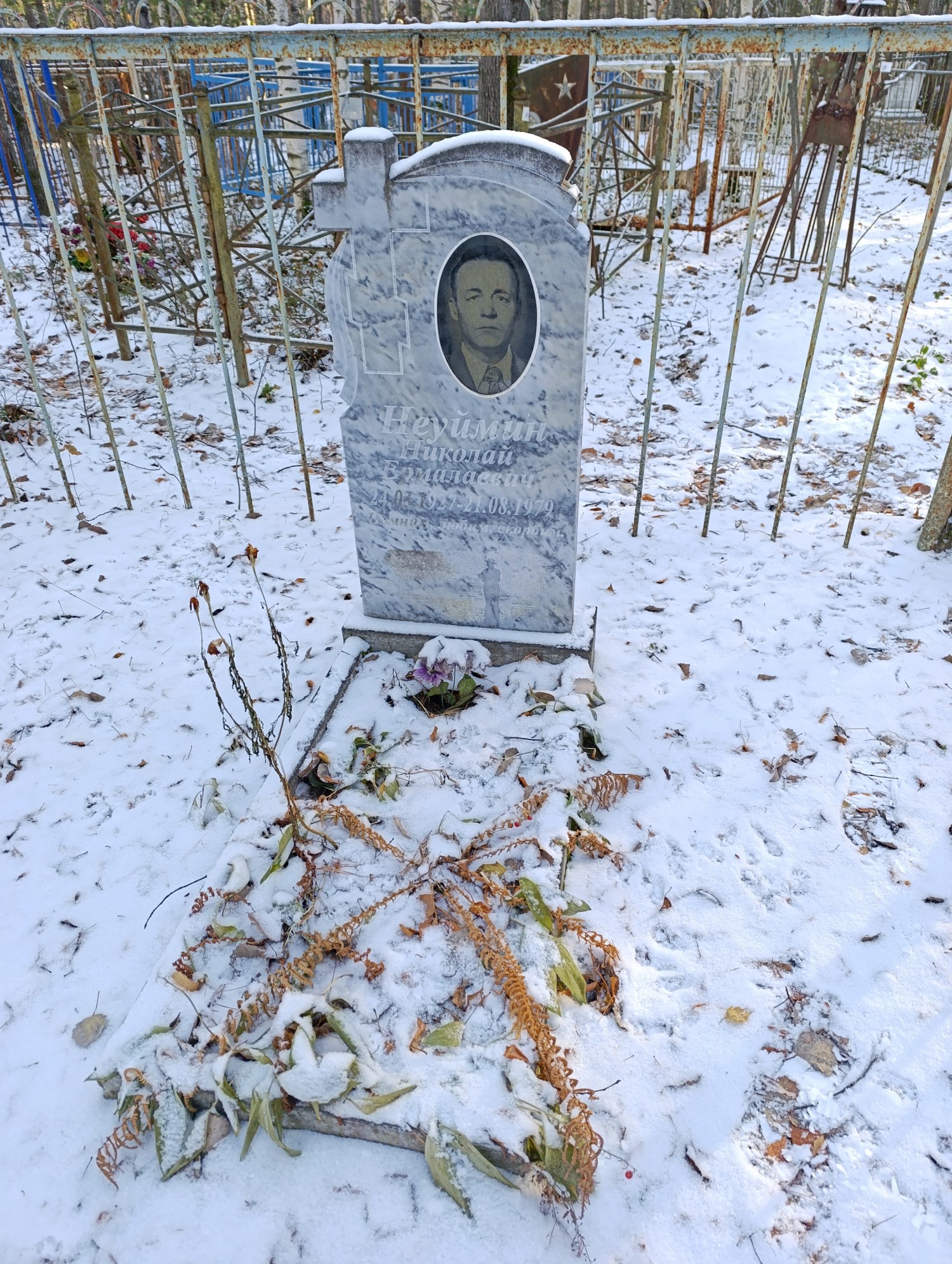 Неуймин Николай Ермалаевич