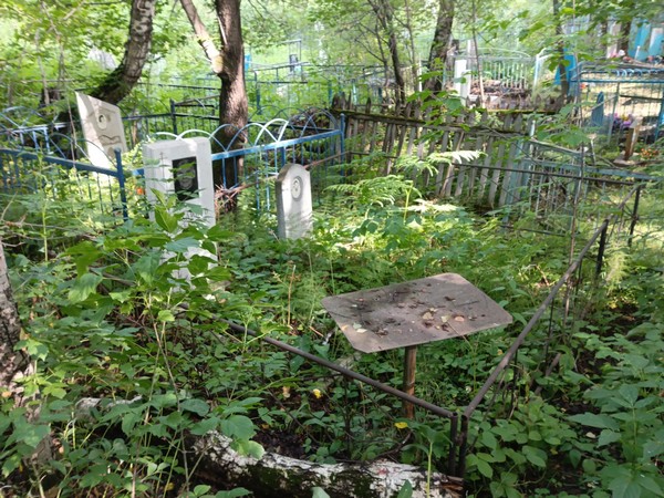 Чистотин Павел Николаевич