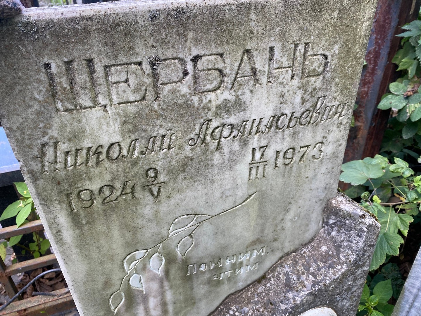 Щербань
