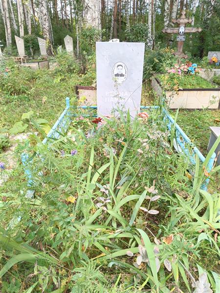 Швецов Аркадий Петрович