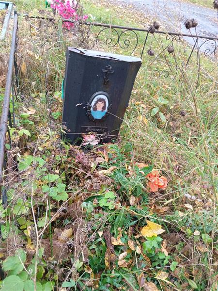 Бураева Елена Васильевна