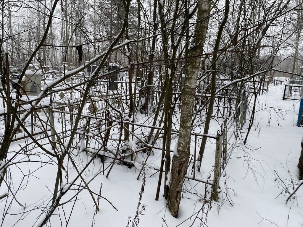 Пурецкая Елизавета Петровна