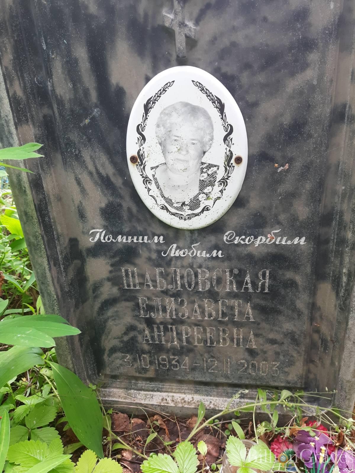 Шабловская Елизавета Андреевна