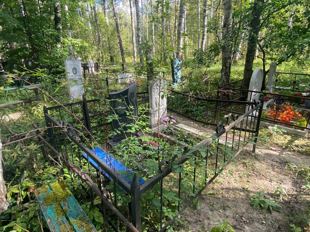 Горностаев Анатолий Иванович