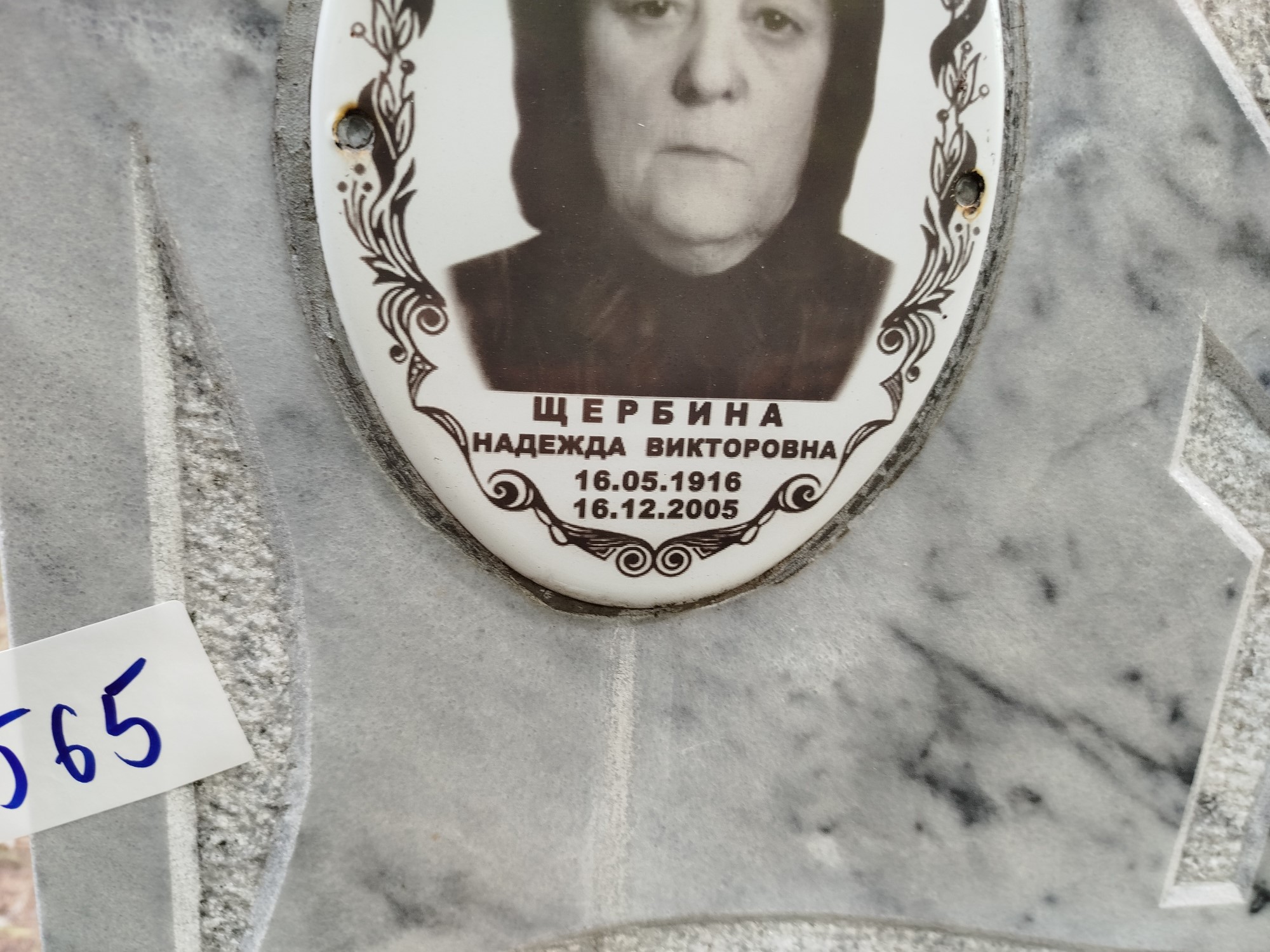 Щербина Надежда Викторовна